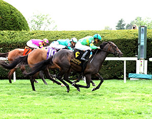 horses racing