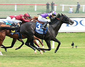Horse running at Colonial Downs in New Kent