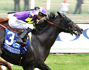 SUPERCHARGER - The Secretariat G2