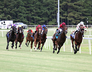 SUPERCHARGER - The Secretariat G2