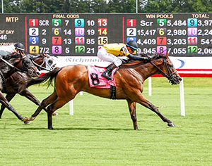 Horses racing at Colonial Downs