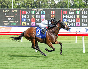 Horse racing at Colonial Downs