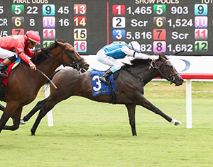 Horse racing at Colonial Downs