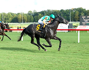 Horses racing at Colonial Downs