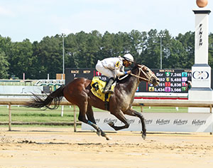 Horse racing at Colonial Downs