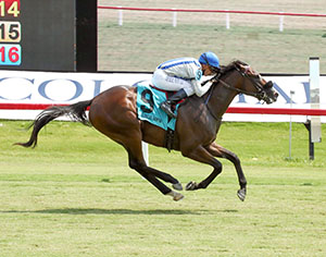 Horse racing at Colonial Downs