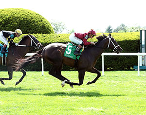 Horse racing at Colonial Downs