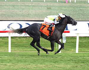 Horses racing at Colonial Downs