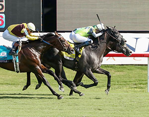 Horses racing at Colonial Downs