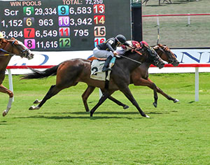 Horse racing at Colonial Downs