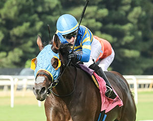 Horses racing at Colonial Downs