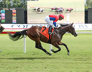 Horses racing at Colonial Downs