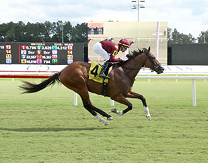 Horses racing at Colonial Downs