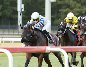 Horses racing at Colonial Downs