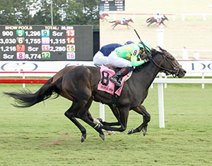 Horses racing at Colonial Downs