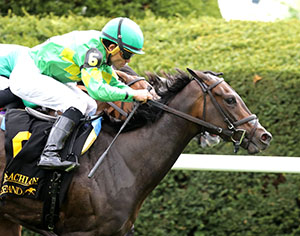 Horses racing at Colonial Downs